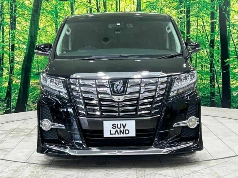 ALPHARD-15