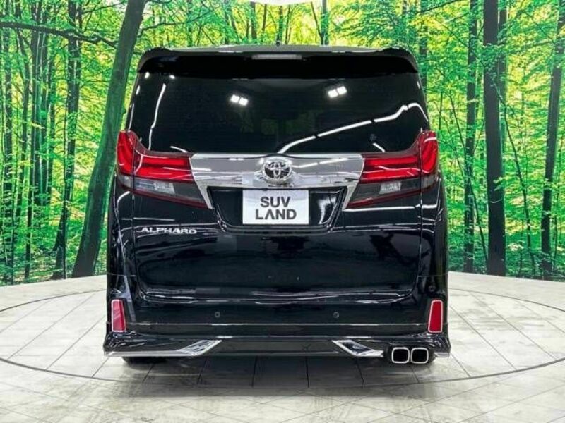 ALPHARD-16