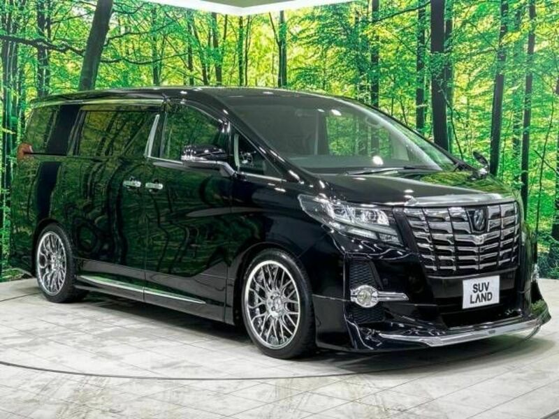 ALPHARD-17