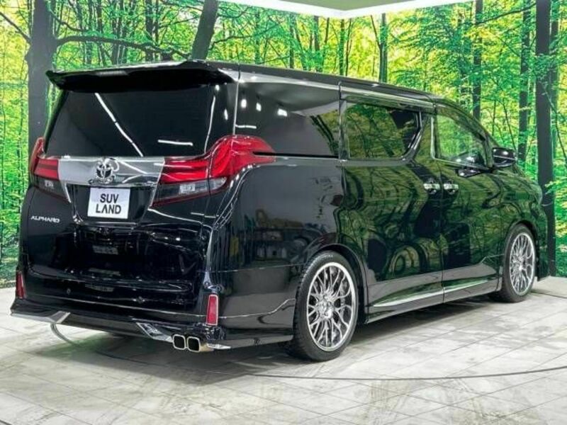 ALPHARD-18