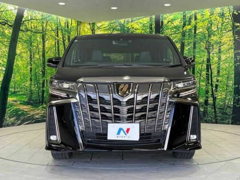 ALPHARD-15