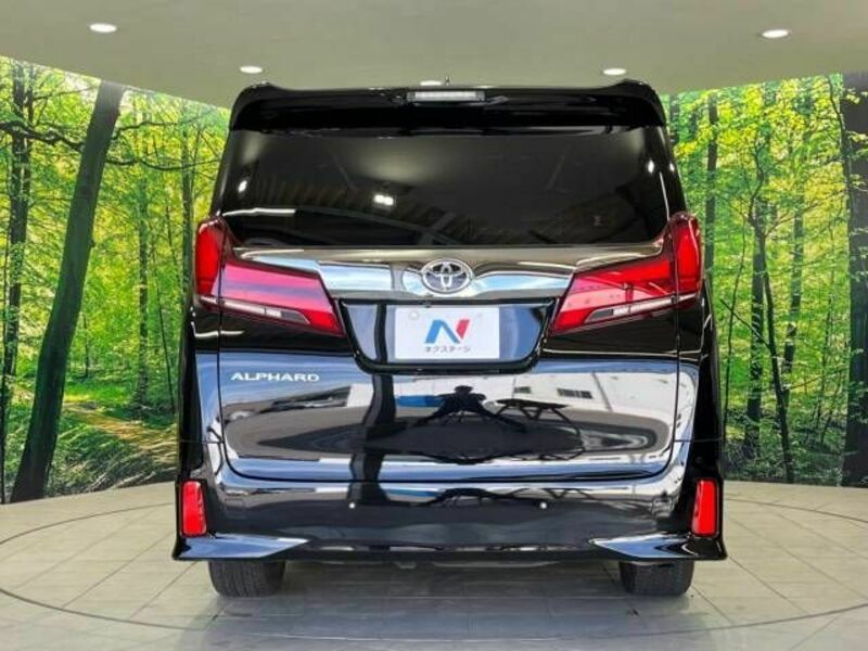 ALPHARD-16