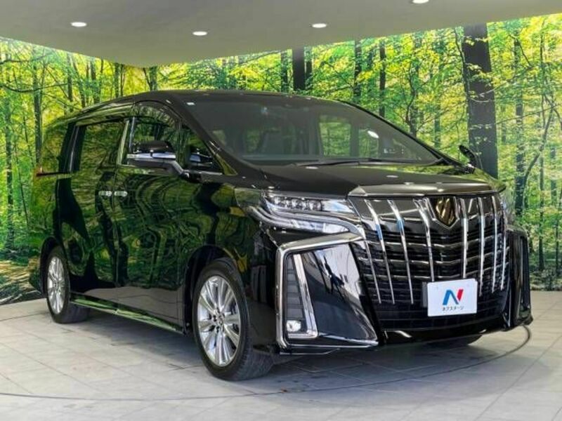 ALPHARD-17