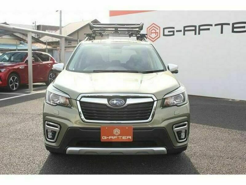 FORESTER-7