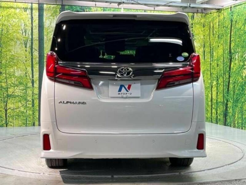 ALPHARD-17