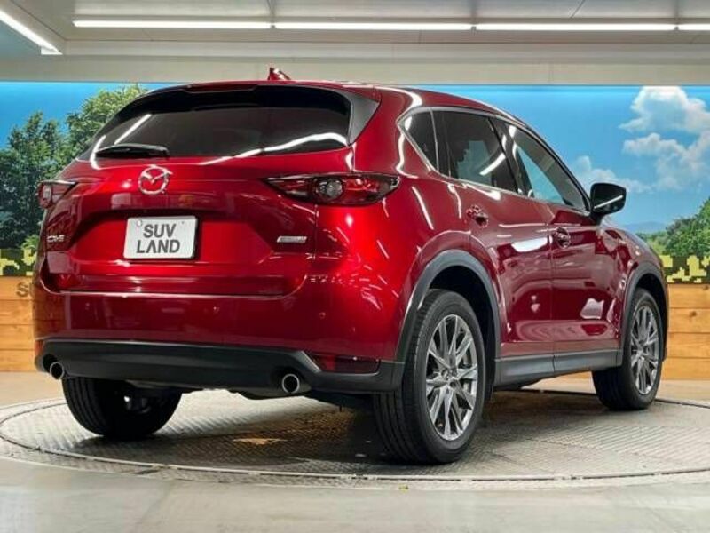 CX-5-17