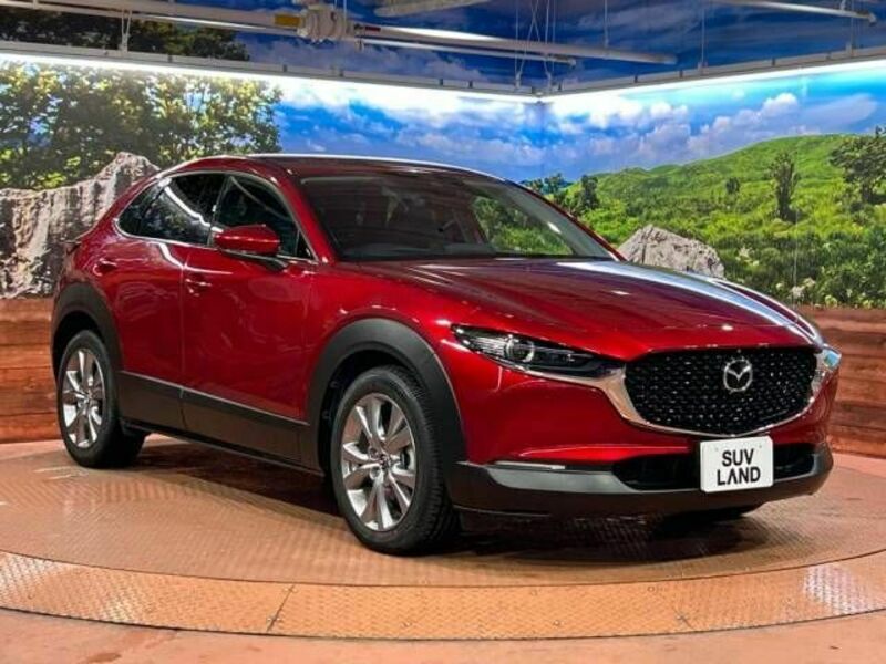 CX-30-16