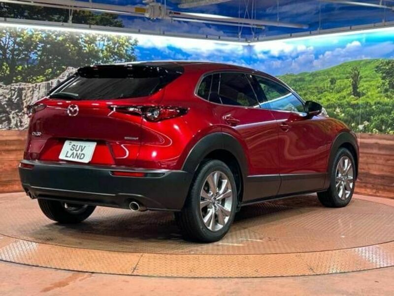 CX-30-17