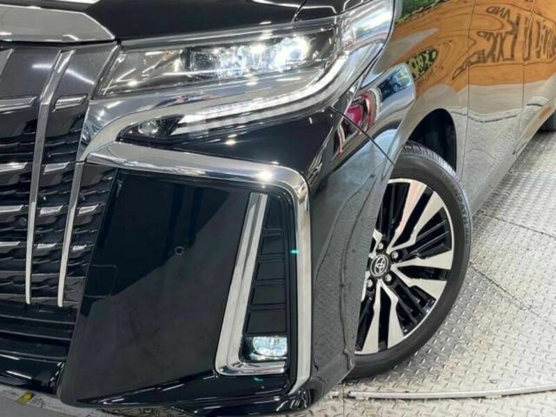 ALPHARD-12