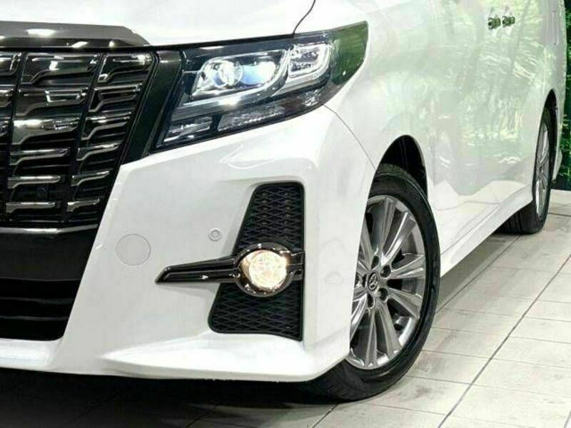 ALPHARD-12