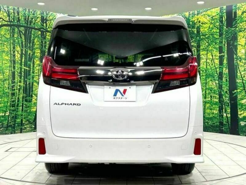 ALPHARD-16