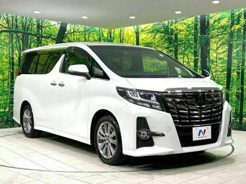 ALPHARD-17