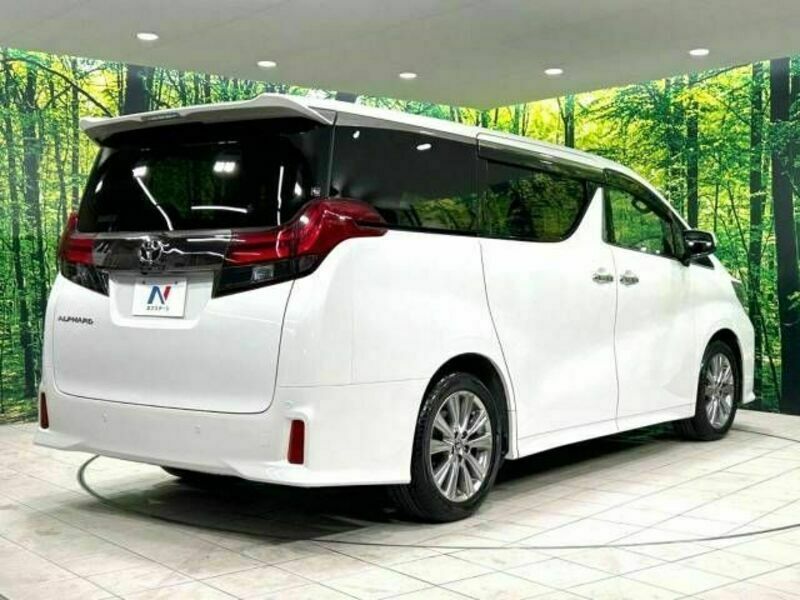 ALPHARD-18