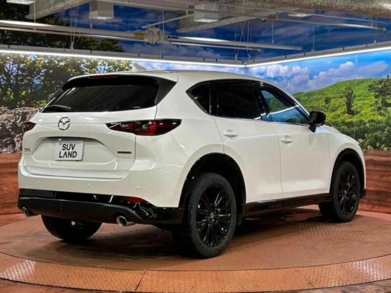 CX-5-17