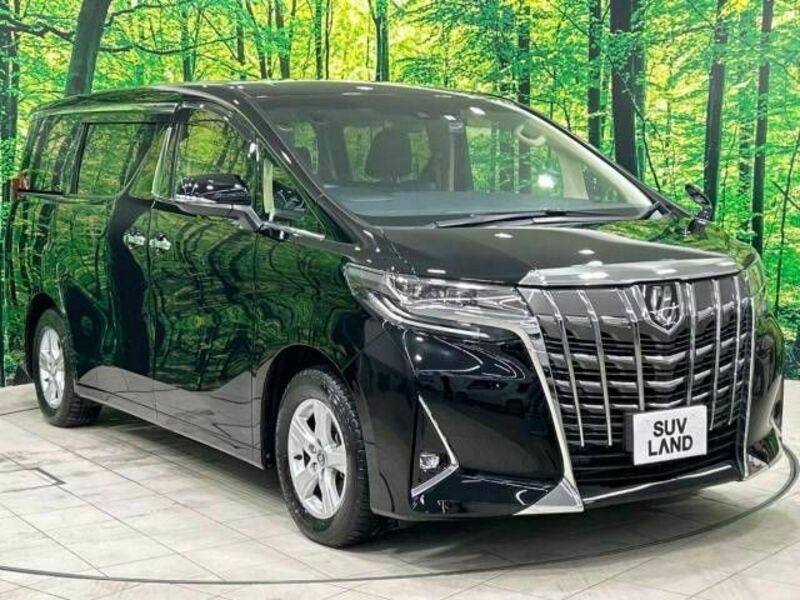 ALPHARD-16