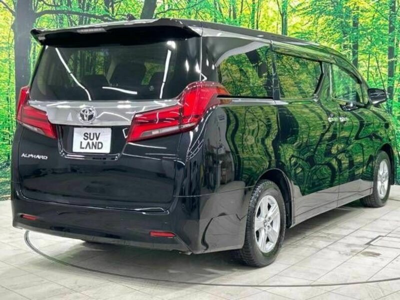 ALPHARD-17