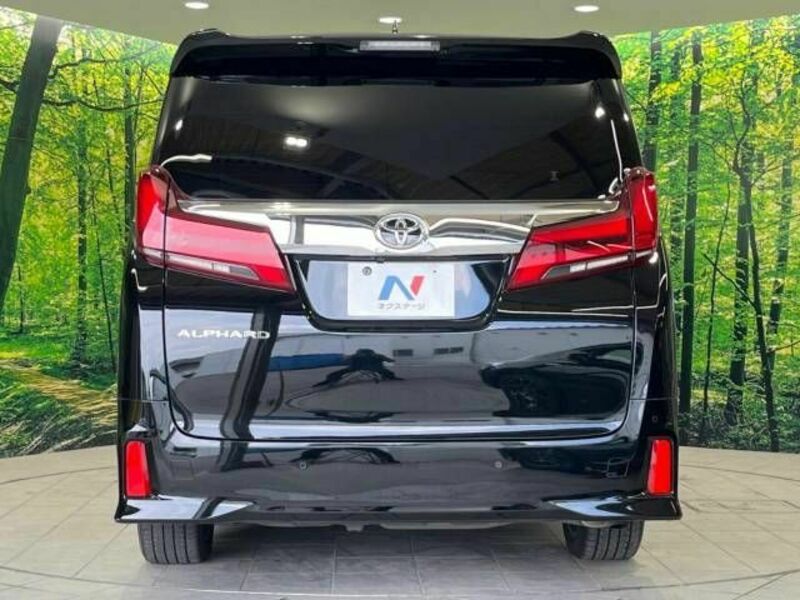 ALPHARD-16