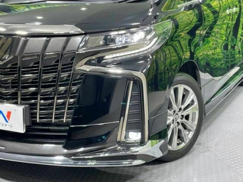 ALPHARD-13