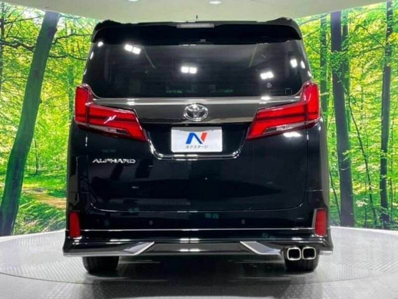 ALPHARD-16