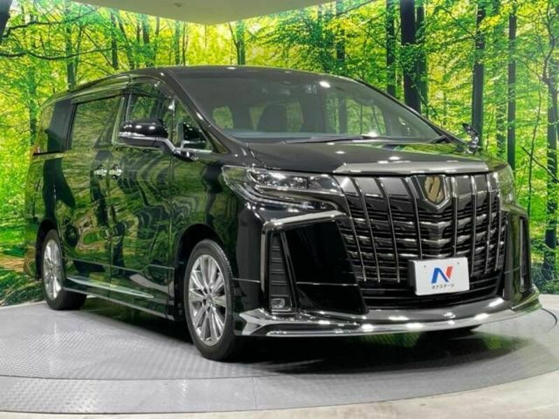 ALPHARD-17