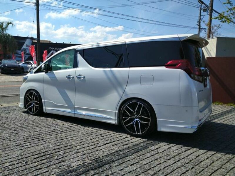 ALPHARD-3