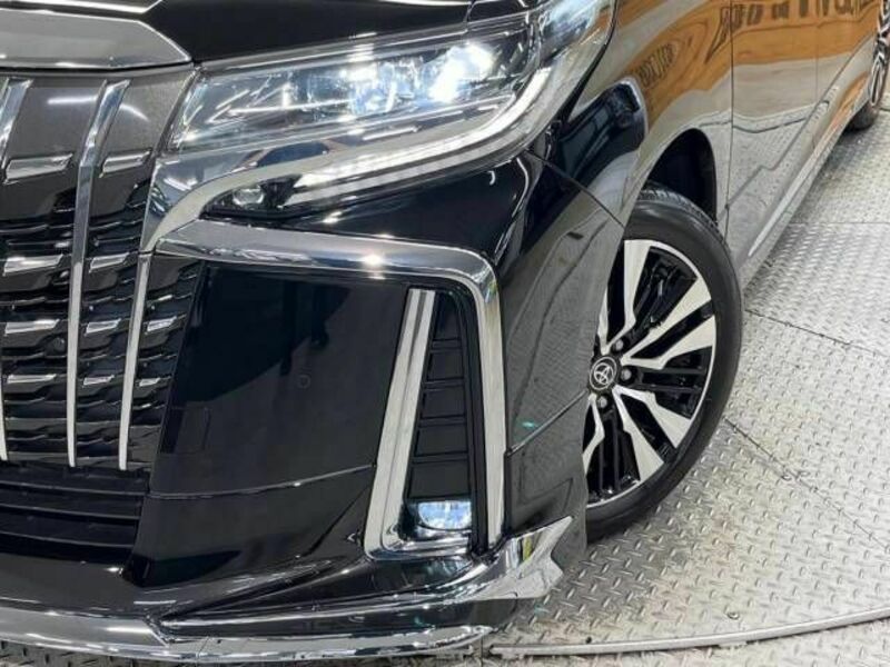 ALPHARD-12