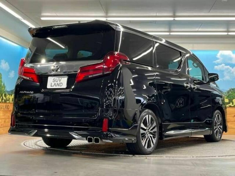 ALPHARD-17