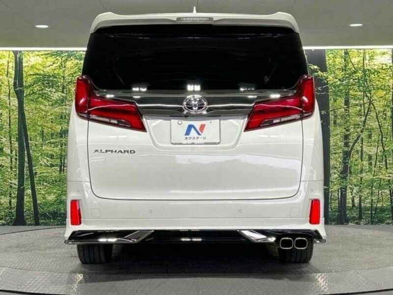 ALPHARD-16