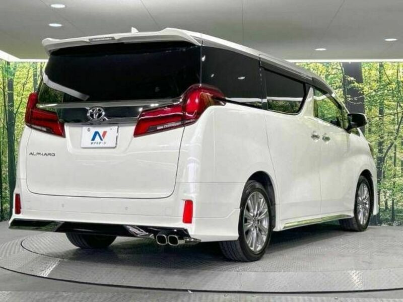 ALPHARD-18