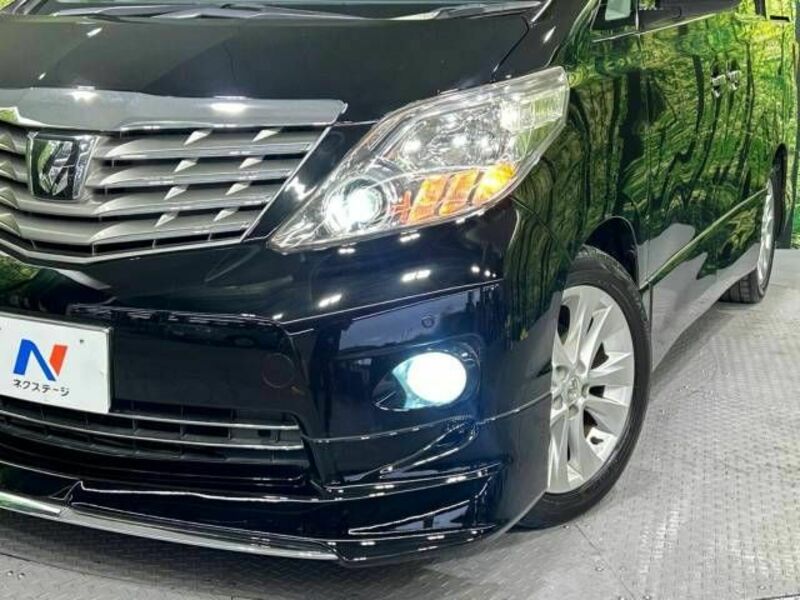 ALPHARD-13