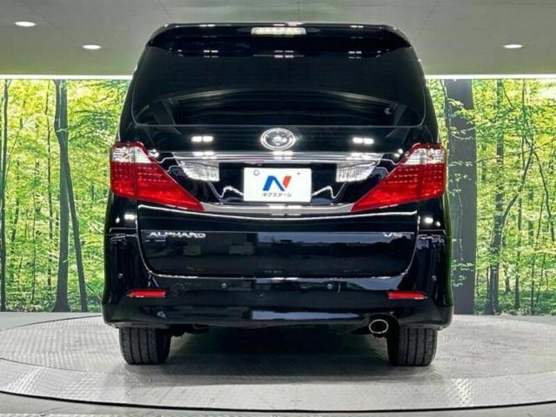 ALPHARD-16