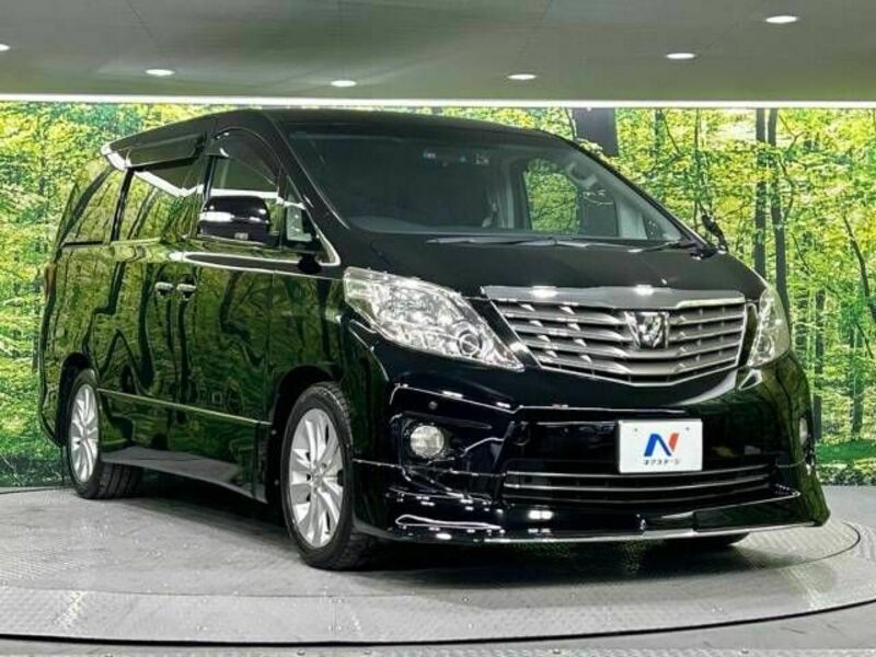 ALPHARD-17