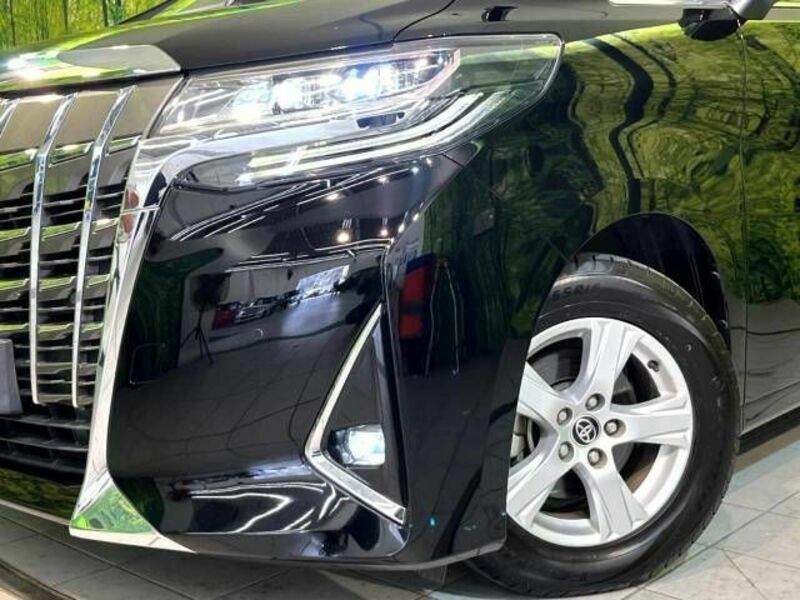 ALPHARD-12