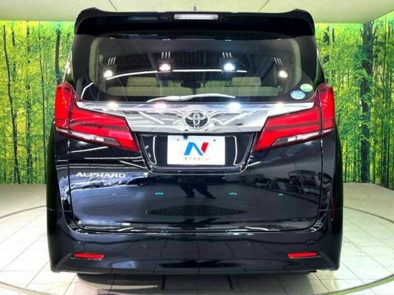 ALPHARD-15