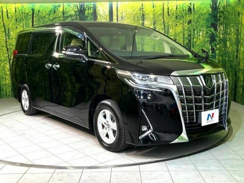 ALPHARD-16