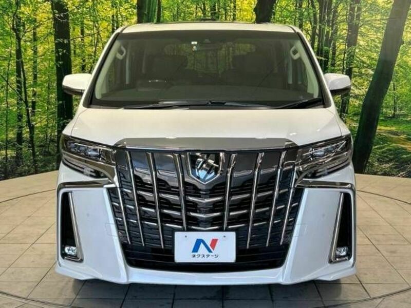 ALPHARD-15