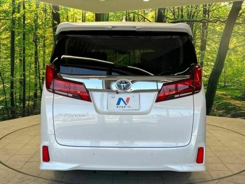 ALPHARD-16