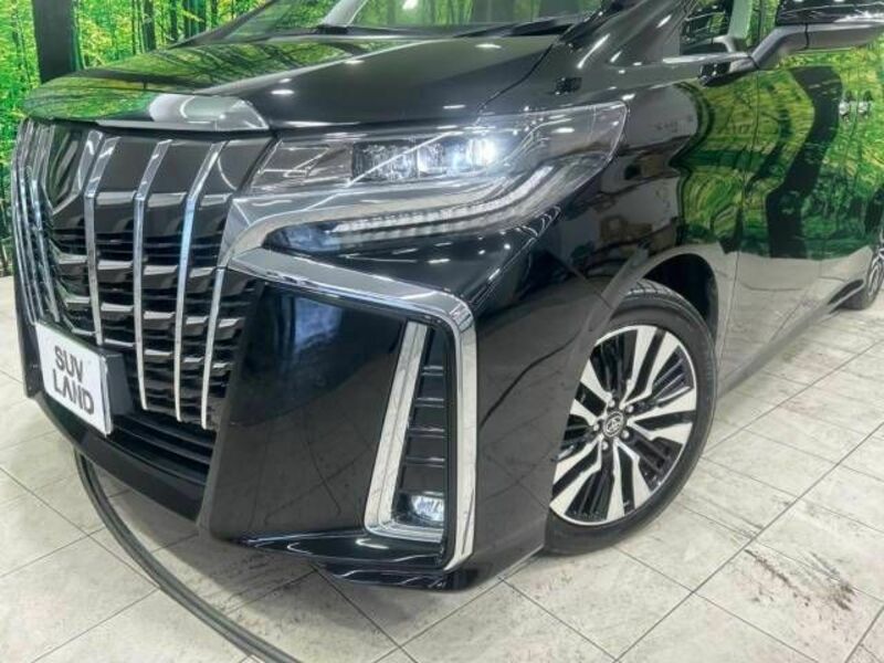 ALPHARD-12