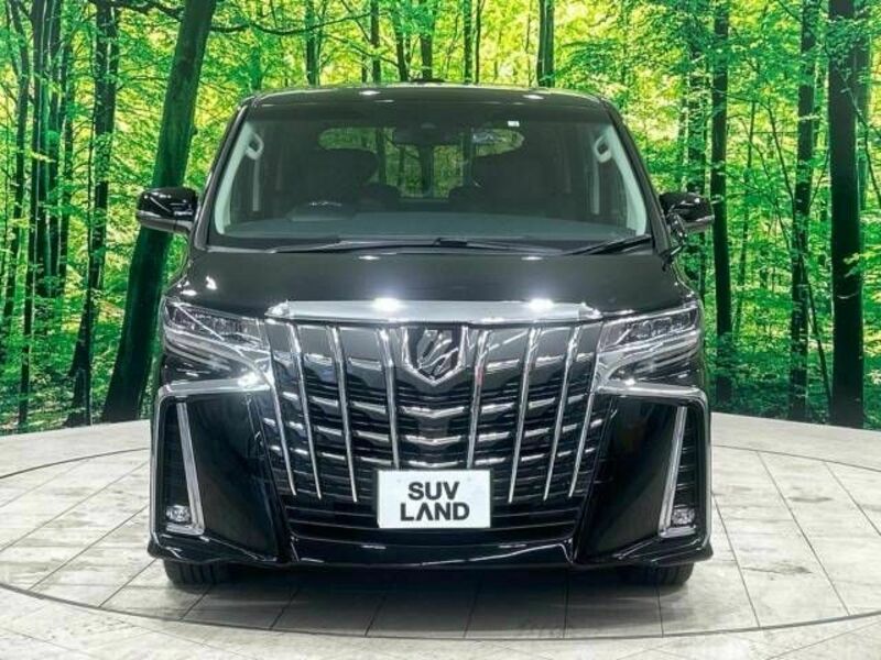 ALPHARD-14