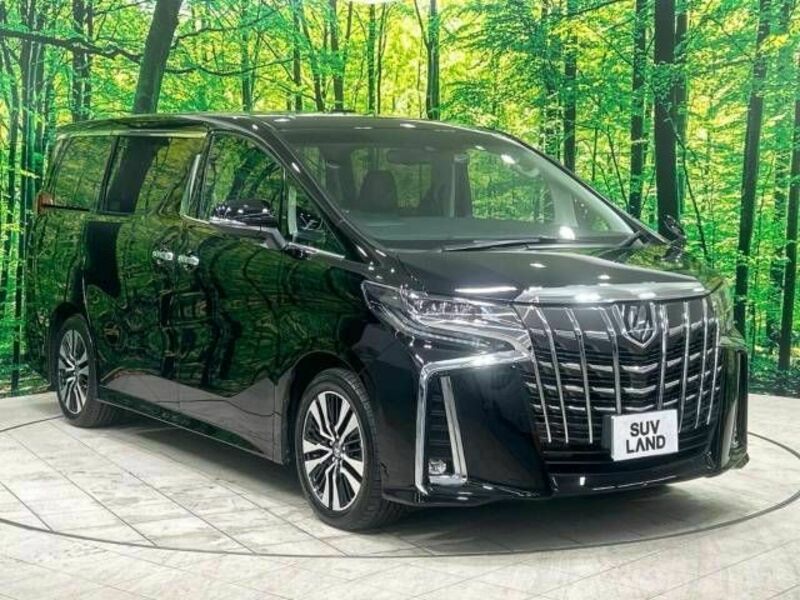 ALPHARD-16