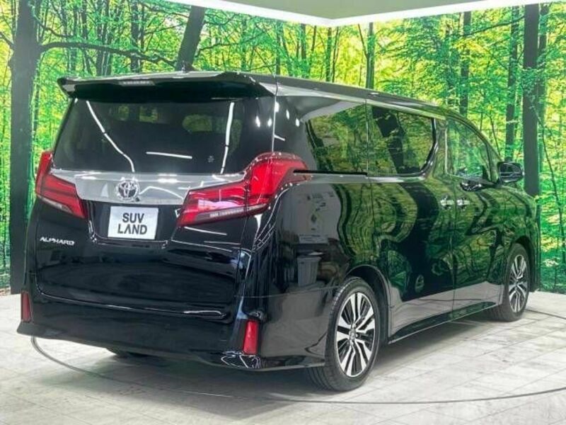 ALPHARD-17