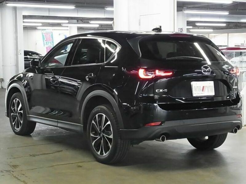 CX-5-6