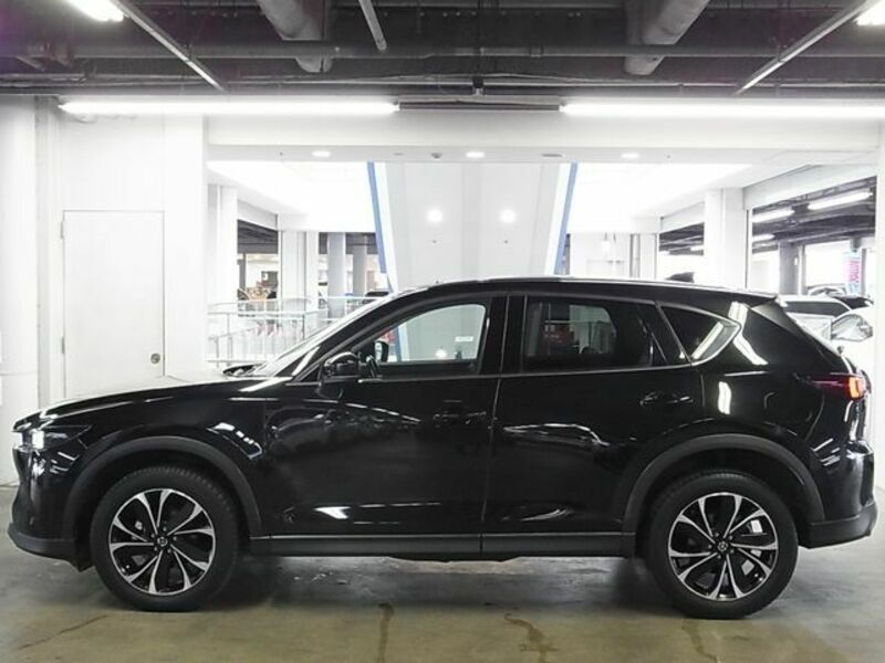 CX-5-8