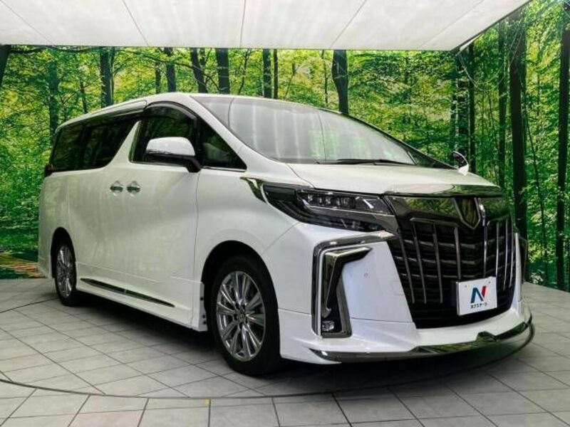 ALPHARD-16