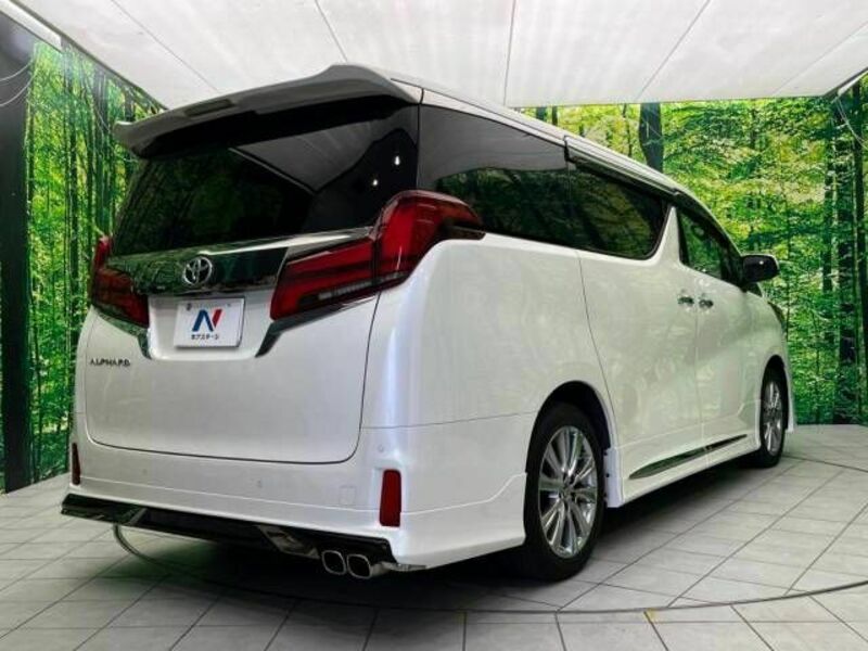 ALPHARD-17