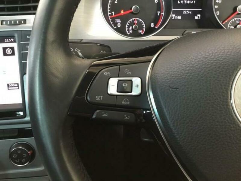 GOLF VARIANT