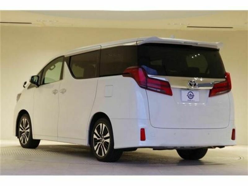 ALPHARD-6