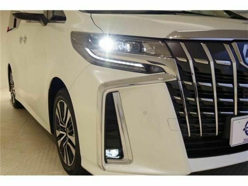 ALPHARD-8