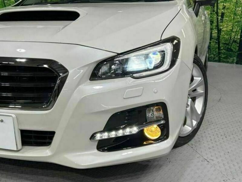 LEVORG-12