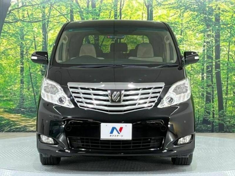 ALPHARD-15